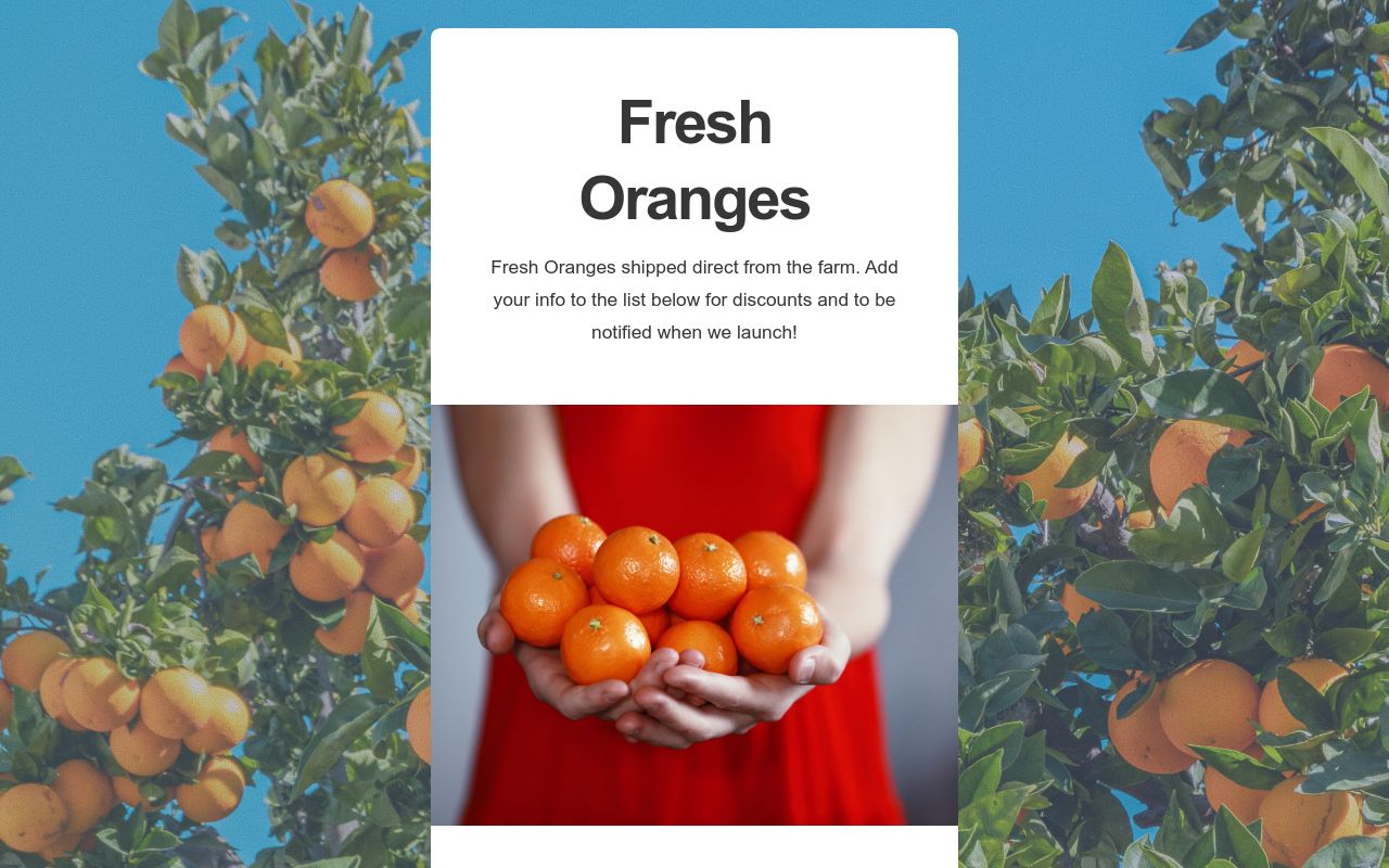 Fresh Oranges - Citrus Direct From the Farm on the California Coast.